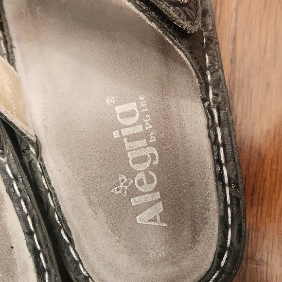 Alegria Dinha Slip On Sandal Shoes - Picture 5 of 8